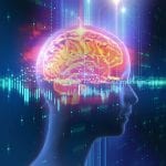 3d rendering of human brain on technology background