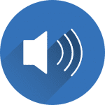 voice
