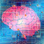 Mickey Goldwasser from Payrailz Talks AI and Enhancing the Customer Experience