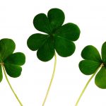 "Luck of the Irish:" Moran, CEO of Prepaid Financial Services Wins Award and Sells Firm in the Same Week
