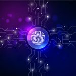 The Role and Significance of Biometrics in the Payment Industry