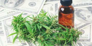 What to Know About Banking and Payments Challenges in the Budding Legal Cannabis Industry