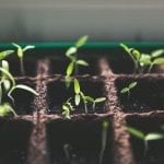 Alternative Investments Market Trends in 2021: A Year of Opportunity with More Regulation and Diversification - PaymentsJournal