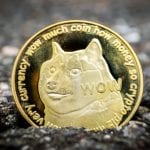 Dogecoin: A Journey from Meme to the Moon - PaymentsJournal