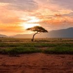 Venture Capital Trends Shaping the African Investment Landscape