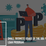 Small Business Usage of the SBA PPP Loan Program:
