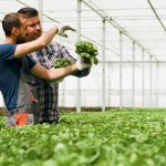 Future-Focused Farmers Fixate on Fintechs